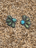 Sonoran Gold 5 Cluster