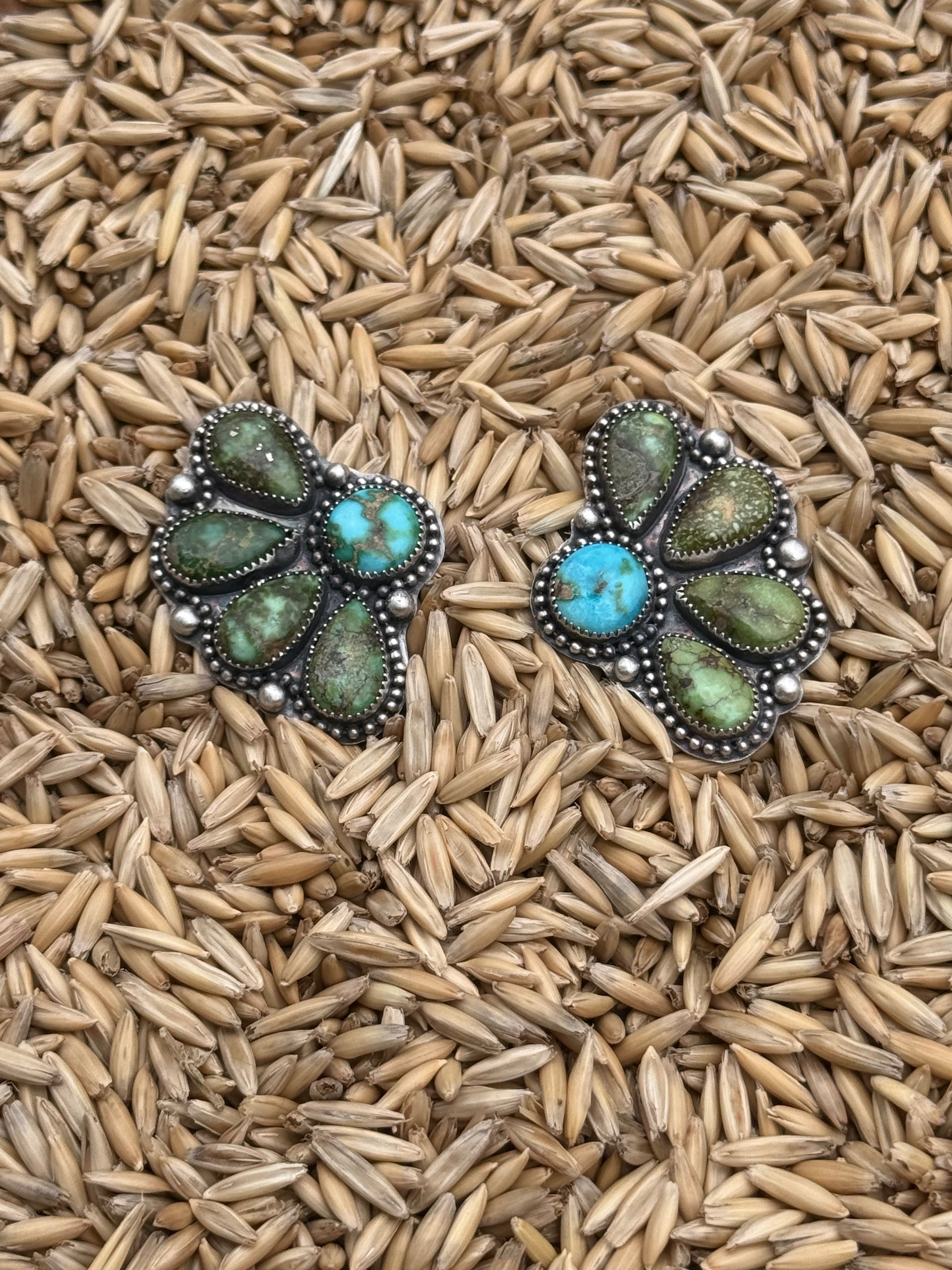Sonoran Gold 5 Cluster