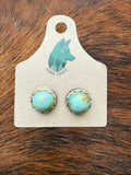 Amaroo Turquoise Studs