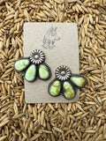 Palamino Cluster Studs