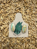 Royston Ribbon Oval Studs