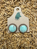 Royston Turquoise Studs
